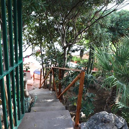 Casa Elvira Villa Terrasini Exterior photo