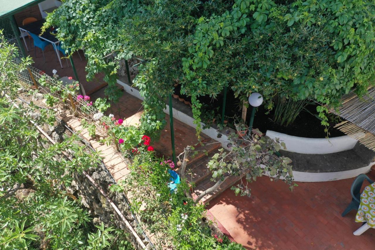 Casa Elvira Villa Terrasini Exterior photo